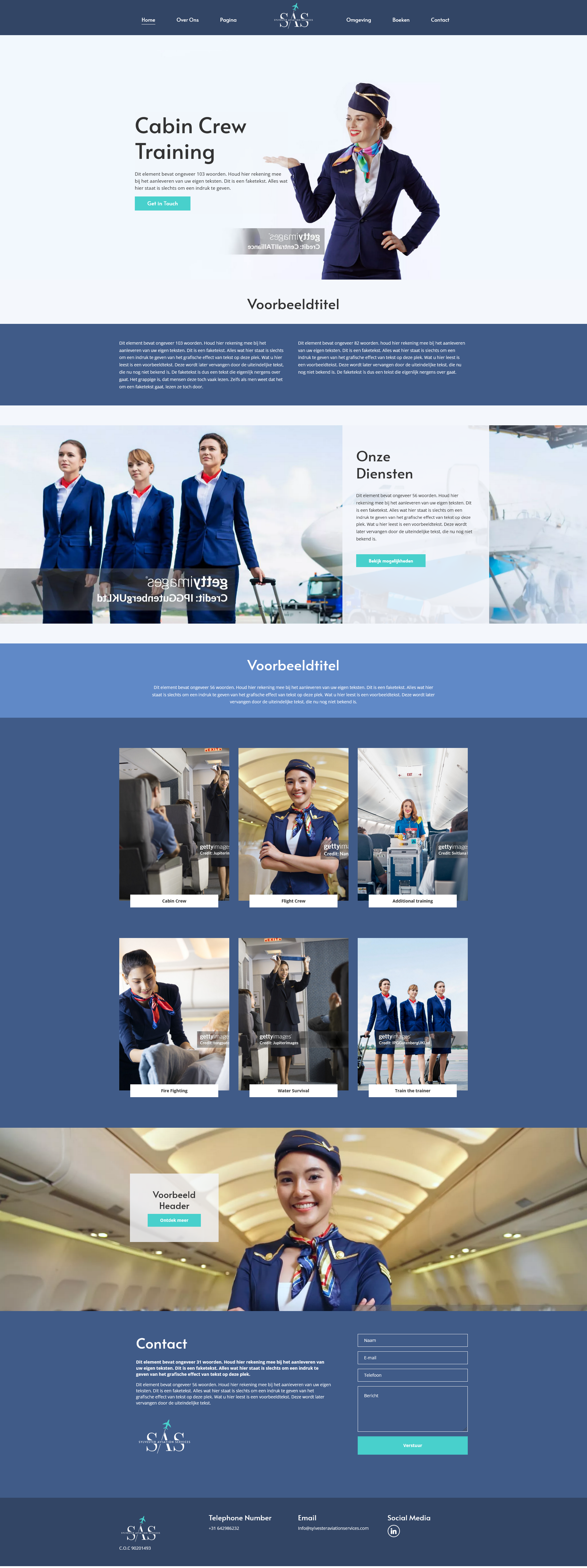 Sylvester Aviation Services internal page screenshot