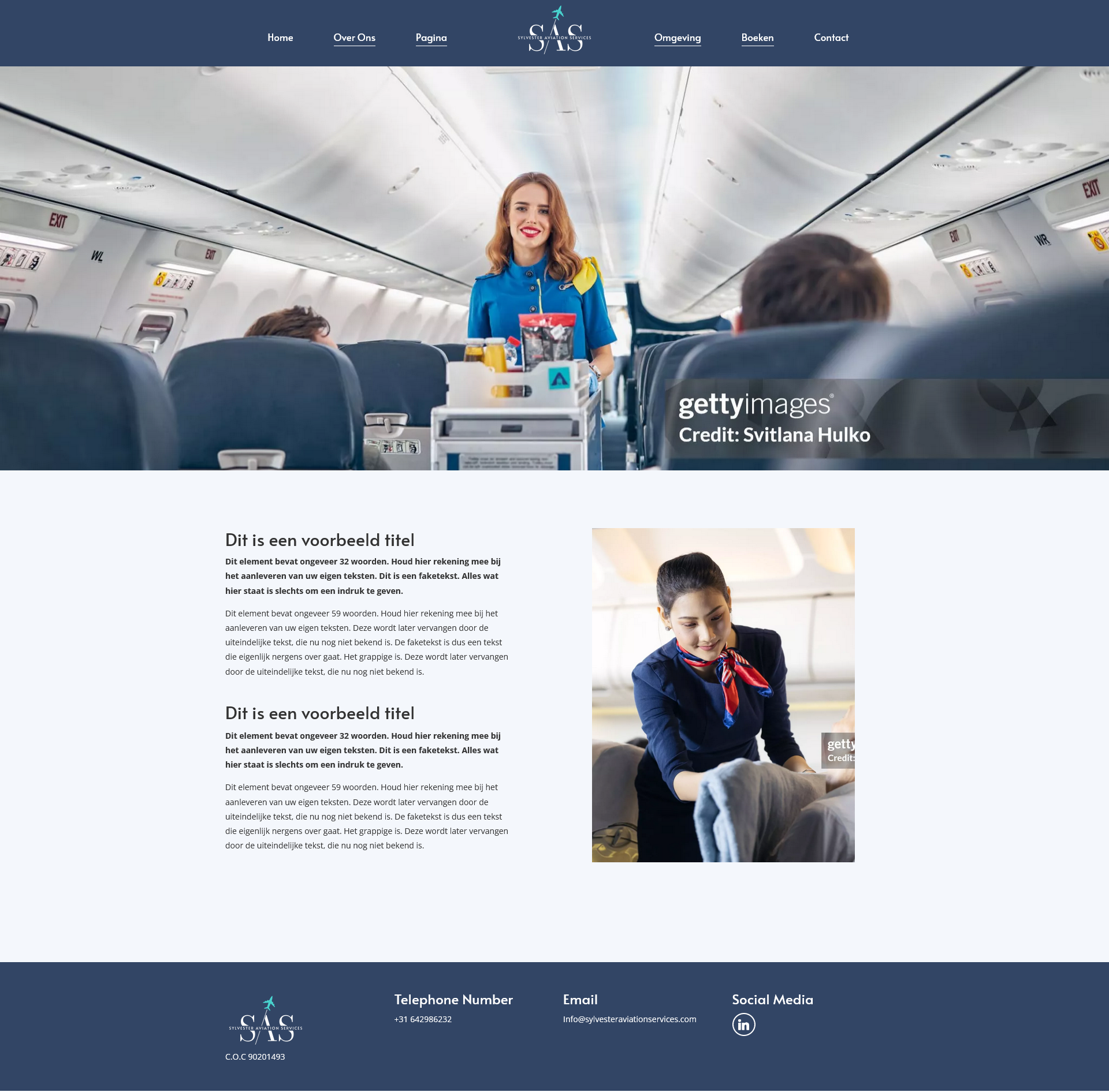 Sylvester Aviation Services contact page screenshot