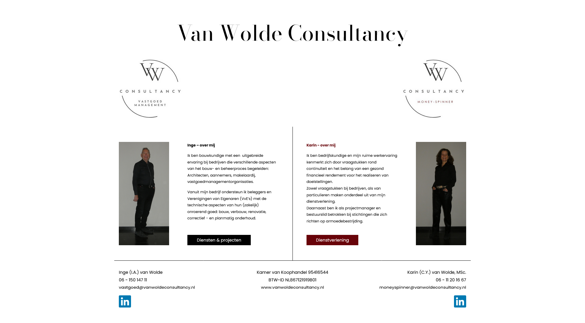 Van Wolde Consultancy homepage screenshot